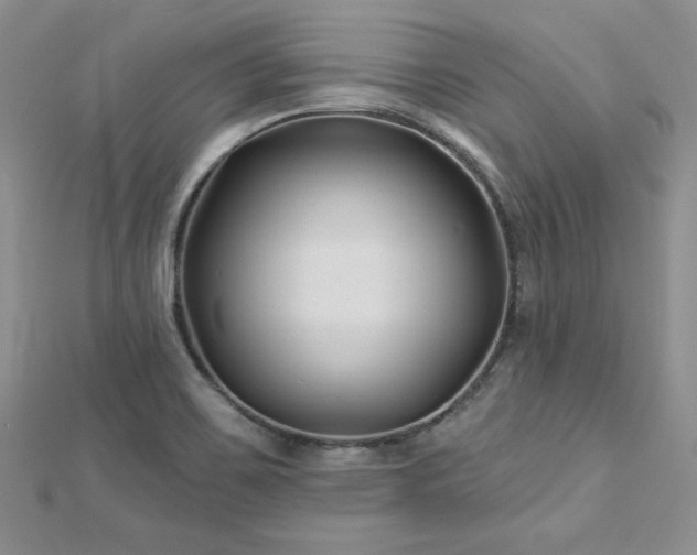 X0000113161467200909041245