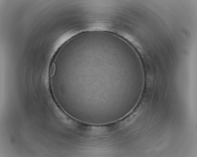 X0000113161469200909041244