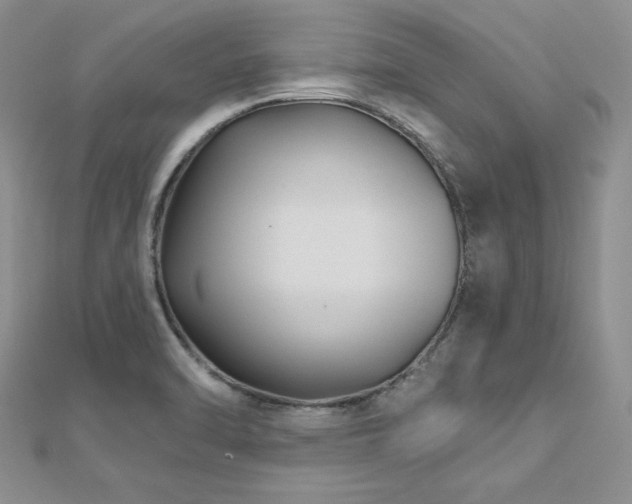 X0000113161470200909041244