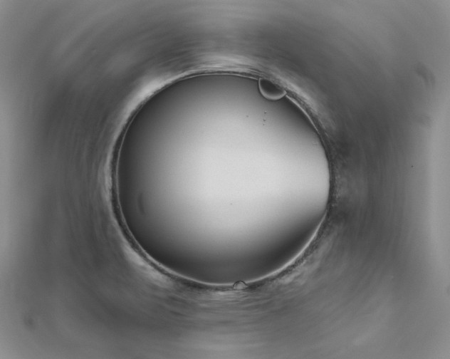 X0000113161471200909041244