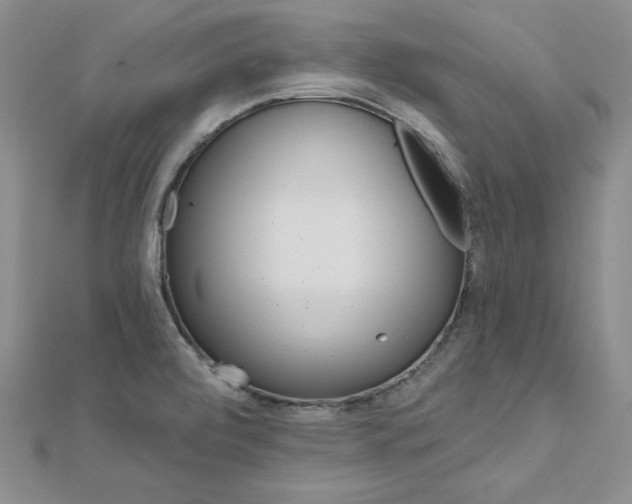 X0000113161472200909041244