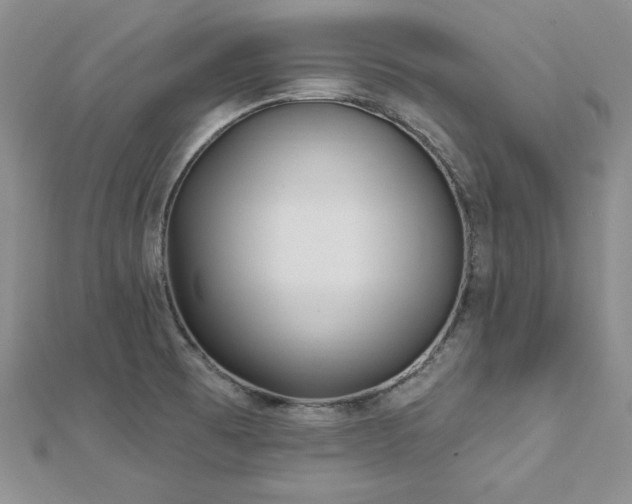 X0000113161473200909041244