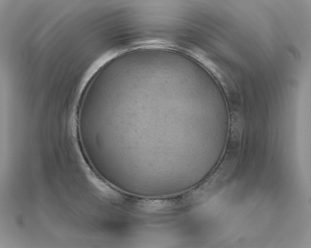 X0000113161474200909041244