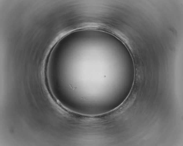 X0000113161475200909041244