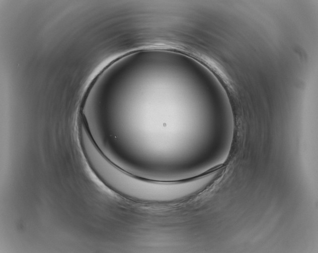 X0000113161476200909041244