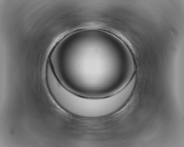 X0000113161477200909041244