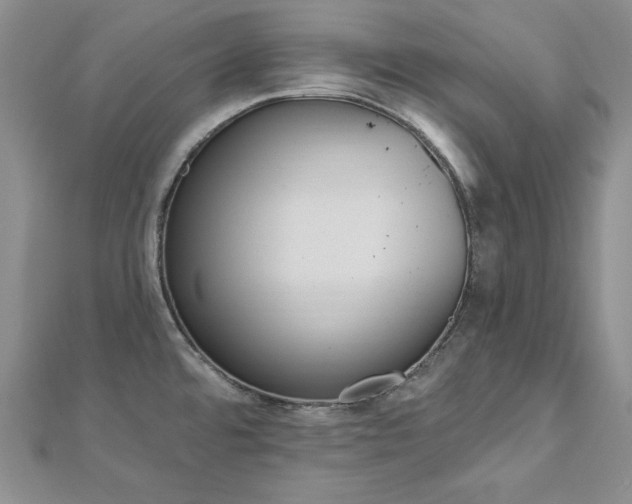X0000113161480200909041244