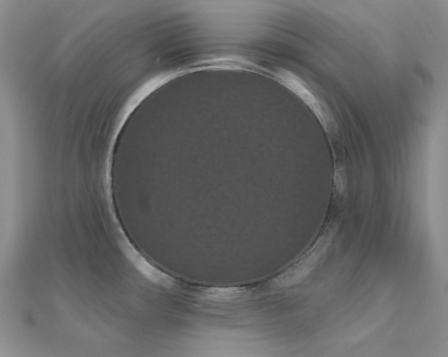 X0000113161482200909041244