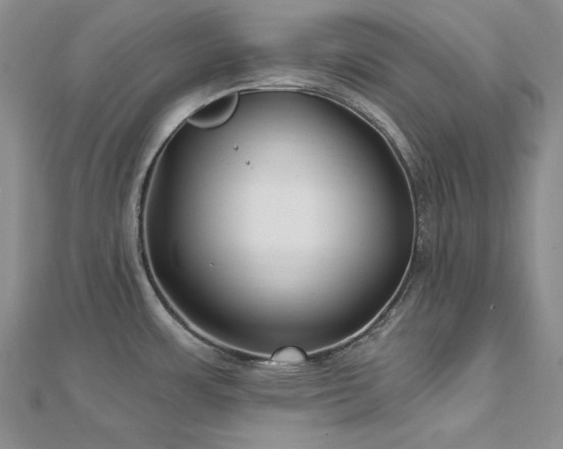 X0000113161483200909041244