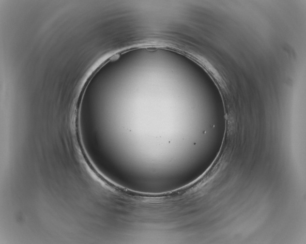 X0000113161484200909041244
