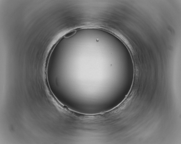 X0000113161485200909041244