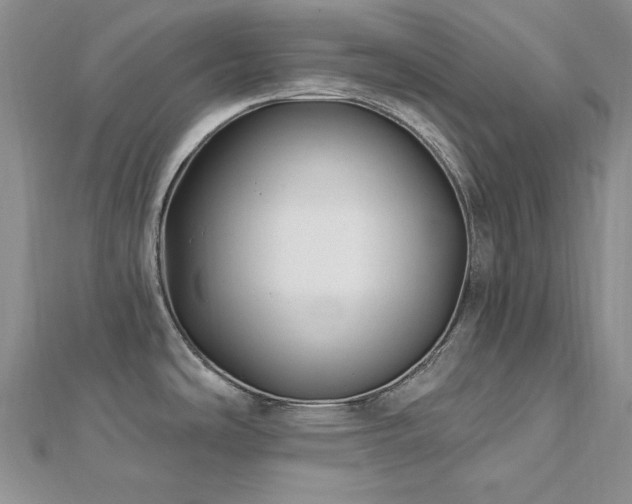 X0000113161486200909041244