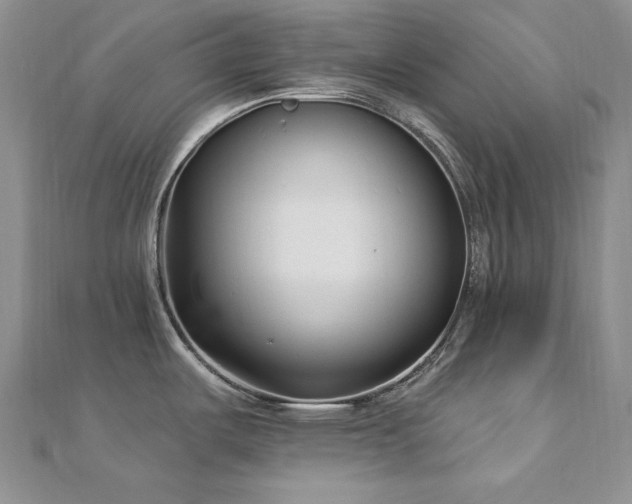 X0000113161487200909041244