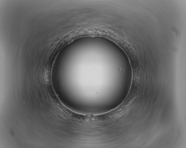 X0000113161490200909041244