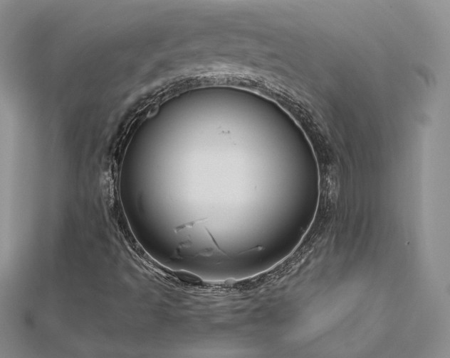 X0000113161493200909041244