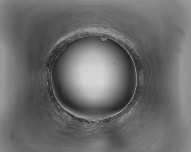 X0000113161494200909041244