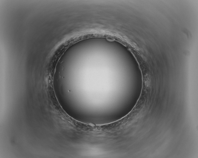 X0000113161495200909041244