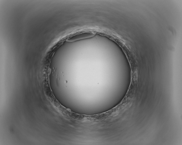 X0000113161496200909041244