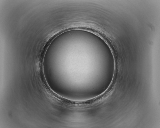 X0000113161497200909041244