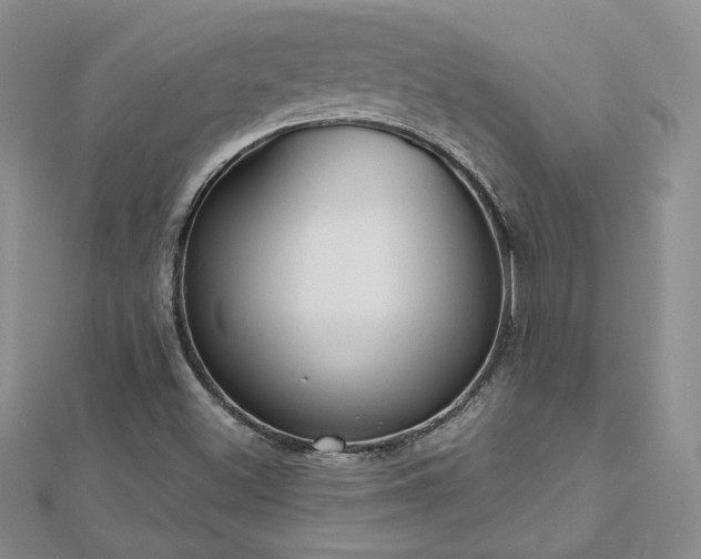 X0000113161500200909041244