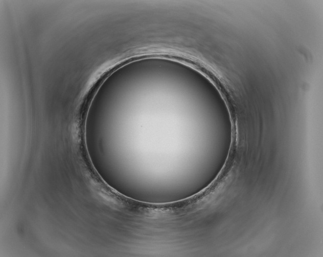 X0000113161501200909041244