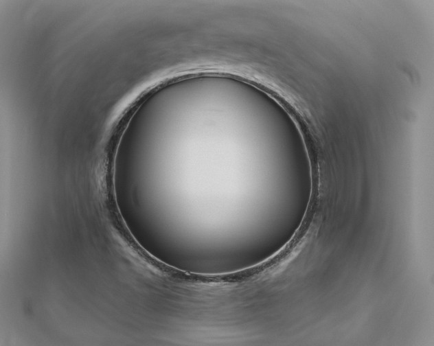 X0000113161502200909041244