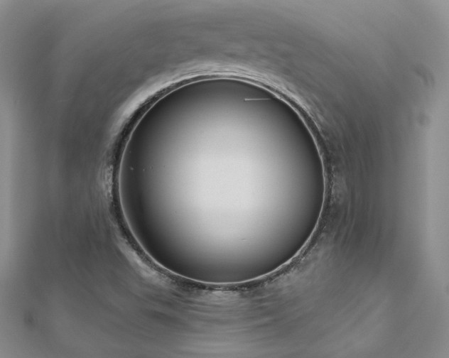 X0000113161503200909041244