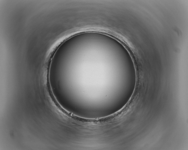 X0000113161504200909041244