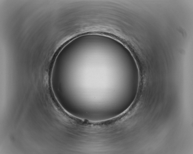 X0000113161505200909041244