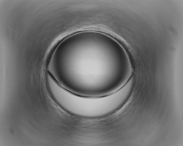 X0000113161506200909041244