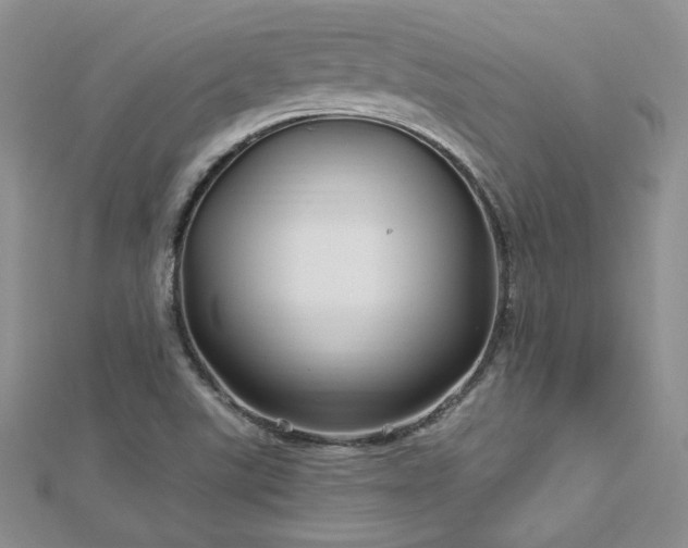 X0000113161507200909041244