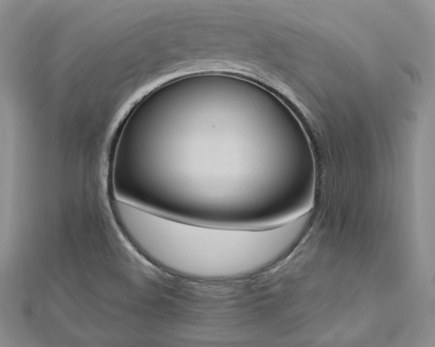 X0000113161508200909041244