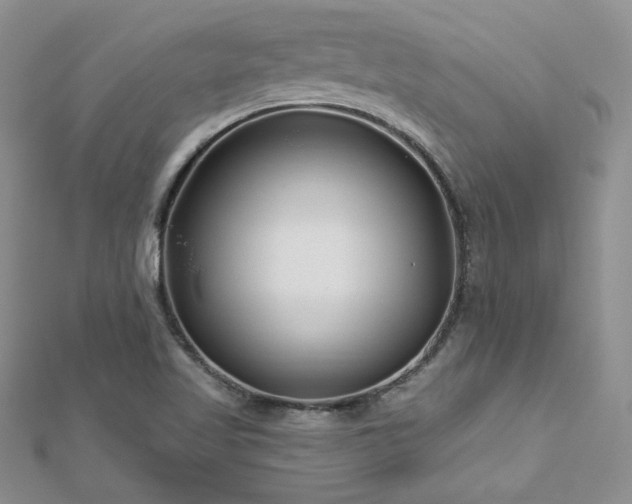 X0000113161509200909041244