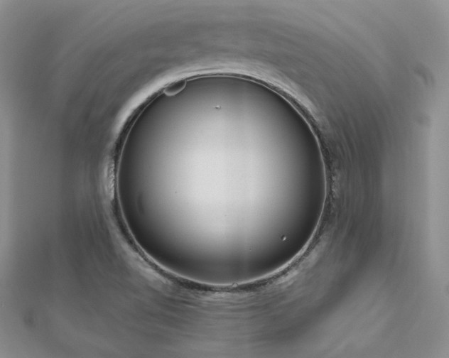 X0000113161510200909041244