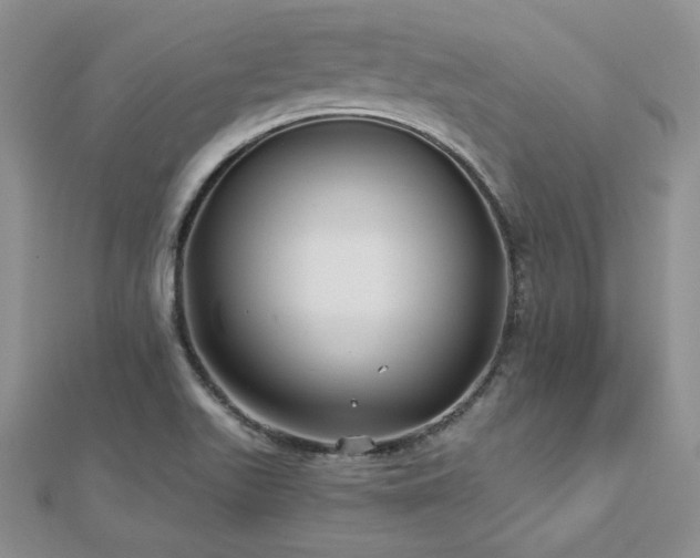X0000113161511200909041244