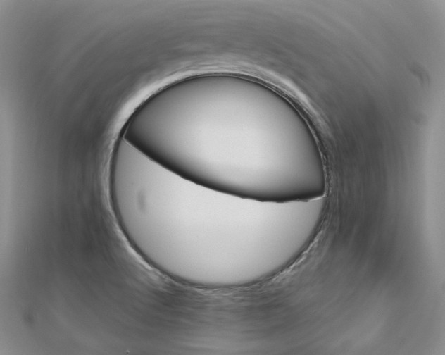 X0000113161512200909041244