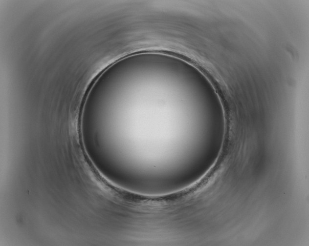 X0000113161513200909041244