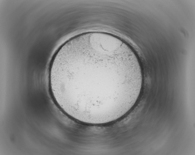 X0000113161514200909041244