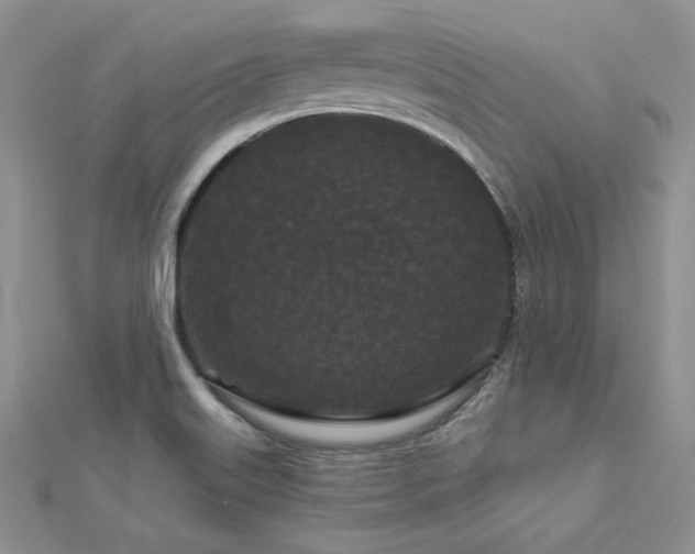 X0000113161515200909041244