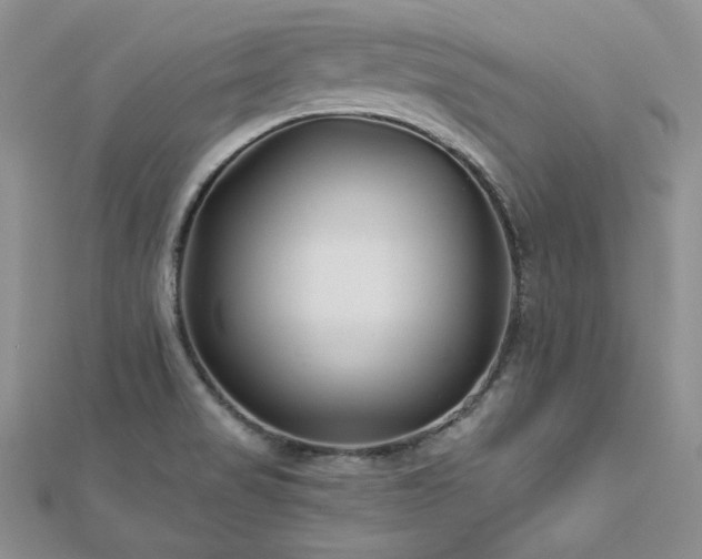 X0000113161517200909041244