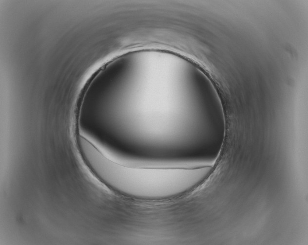 X0000113161518200909041244