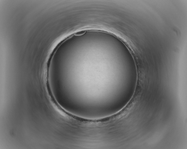 X0000113161519200909041244
