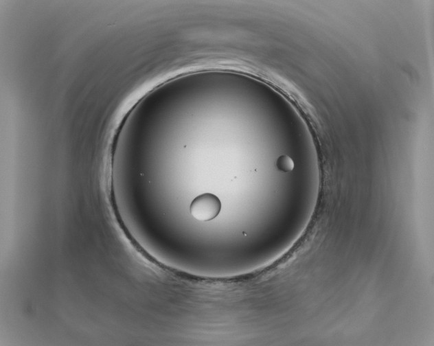 X0000113161520200909041244