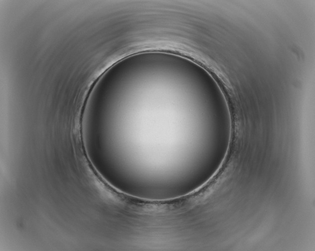 X0000113161521200909041244