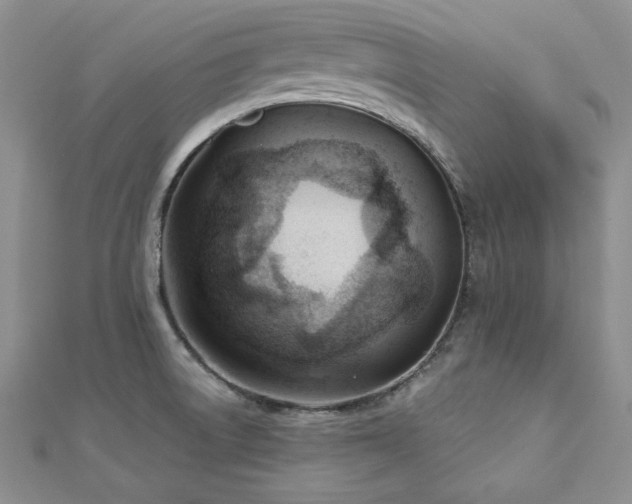 X0000113161522200909041244