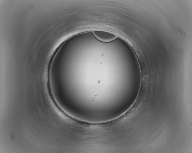 X0000113161523200909041244