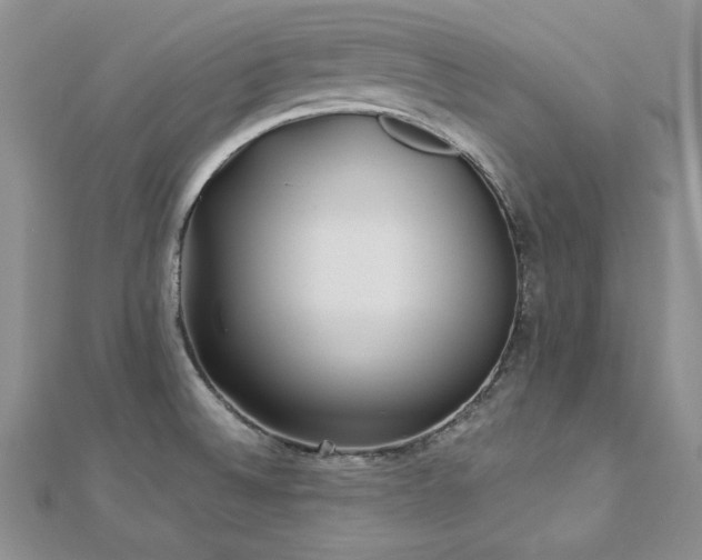X0000113161524200909041244
