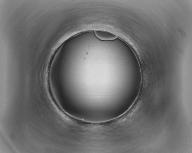 X0000113161525200909041244