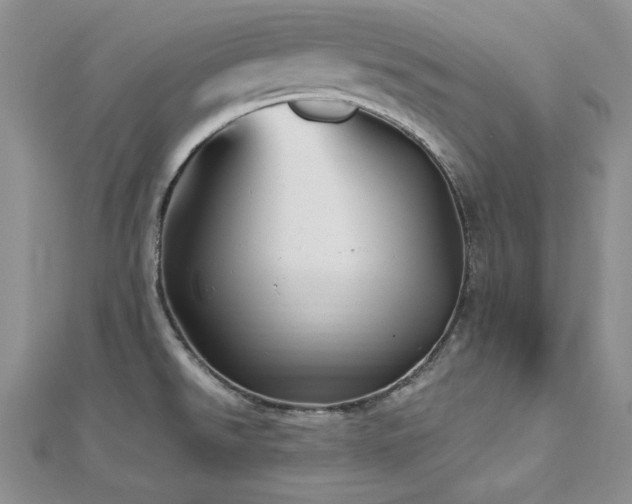 X0000113161526200909041244