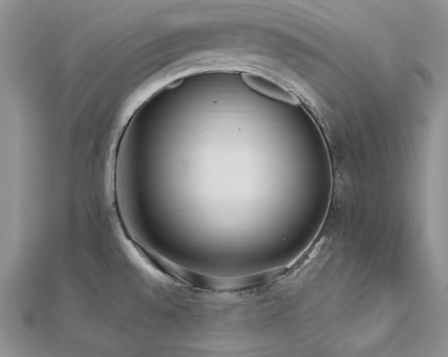 X0000113161528200909041244